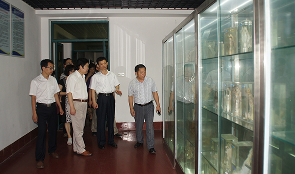 DSC08485.JPG